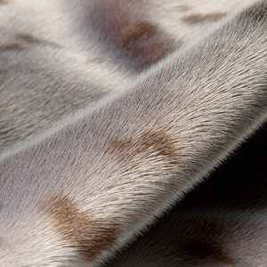 sael-kvadrat.jpg